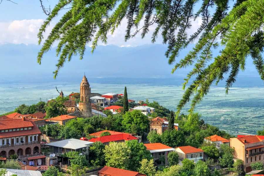 Hilltop town of Sighnaghi with red-roofed houses, a stone bell tower, and the green Alazani Valley stretching toward the Caucasus mountains